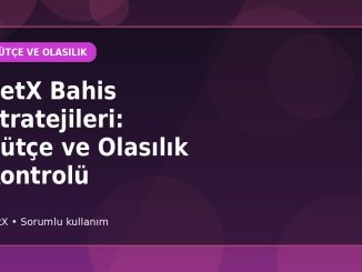 BetX Bahis Stratejileri: Bütçe ve Olasılık Kontrolü kapak görseli